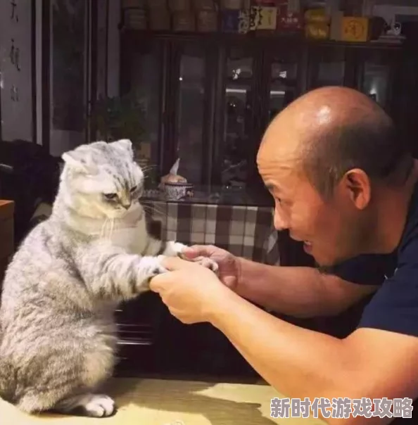 在线一级黄色片骑着鱼的猫