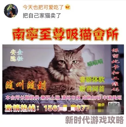 在线一级黄色片骑着鱼的猫