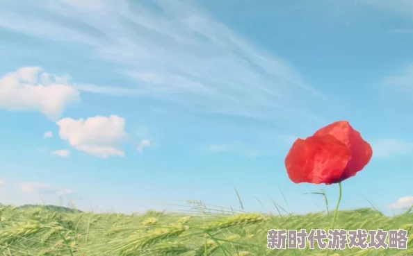 月乃樱生活中总有阳光洒落在心间勇敢追梦让每一天都充满希望