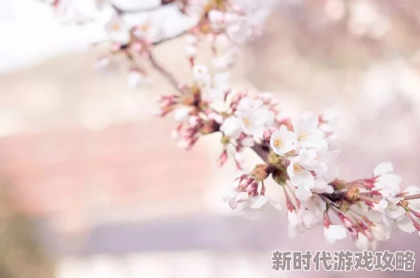 月乃樱生活中总有阳光洒落在心间勇敢追梦让每一天都充满希望