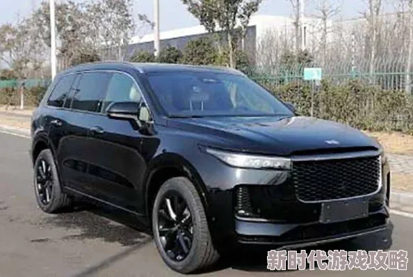 花怜车肉心怀梦想勇往直前积极向上创造美好未来