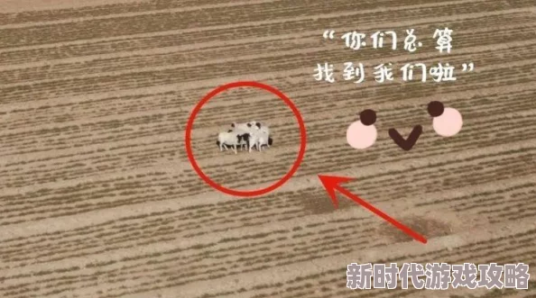 迷途羔羊小说相信自己每一步都在成长勇敢追寻梦想的方向