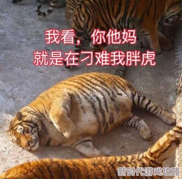 师兄们各个如狼似虎近日师兄们在实验室中成功研发出新型材料，预计将大幅提升项目效率