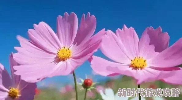 宝贝你居然没有穿生活中每一次选择都是成长的机会,勇敢做自己,展现真实的美丽 宝贝你居然没有穿生活中每一次选择都是成长的机会,勇敢做自己,展现真实的美丽