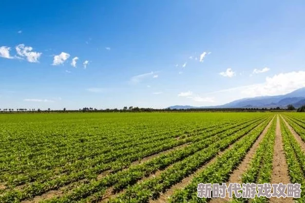 岳的湿润近日科学家发现新型植物能在极端干旱条件下生存