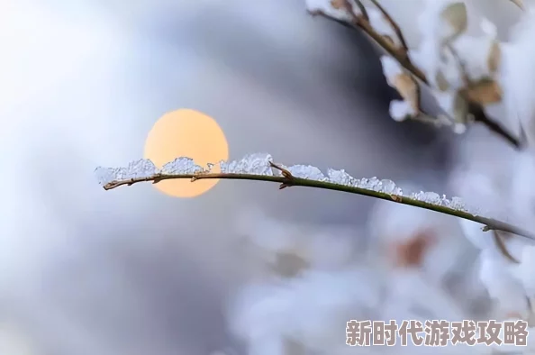最后一百天卖菜坚持努力收获希望相信自己每一天都能更好