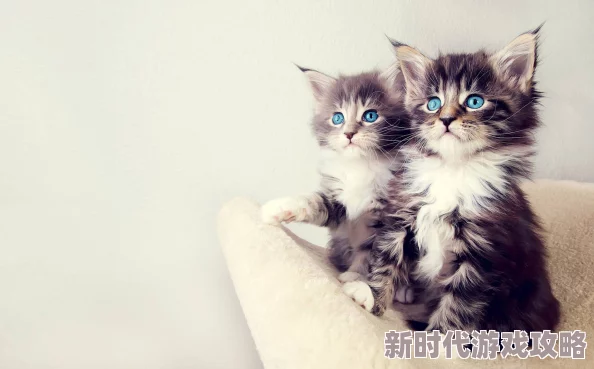 猫影库让我们一起感受猫咪带来的温暖与快乐，分享爱与陪伴的美好时光