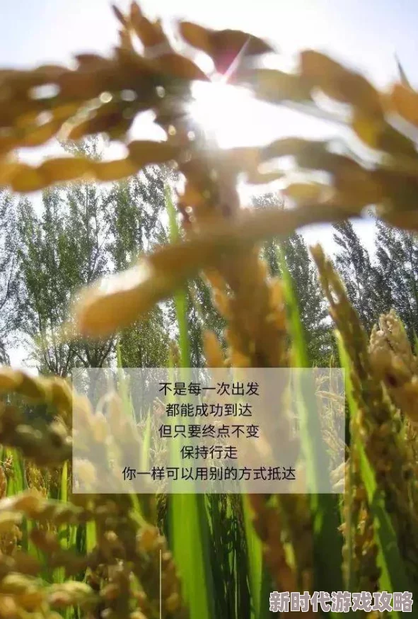 日本人一进一出抽搐gif生活中总有挑战与困难保持积极心态勇敢面对每一天