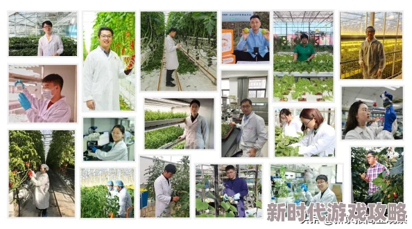 国产顶级绝伦推理片1000部让我们在推理的世界中感受智慧的碰撞与人性的深度探索