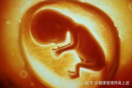 孕妇小说孕期健康新发现：研究显示适度运动有助于胎儿发育