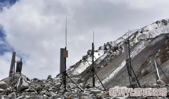 征服风韵犹存的岳近日登山爱好者在岳峰顶发现罕见野生花卉吸引众多游客前来观赏