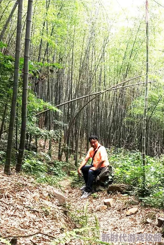 征服风韵犹存的岳近日登山爱好者在岳峰顶发现罕见野生花卉吸引众多游客前来观赏
