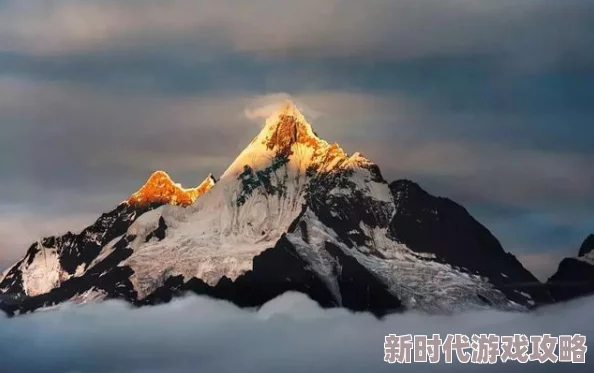 征服风韵犹存的岳近日登山爱好者在岳峰顶发现罕见野生花卉吸引众多游客前来观赏