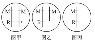 自w到高c的25种方法带图探索最新的学习技巧和资源提升你的能力