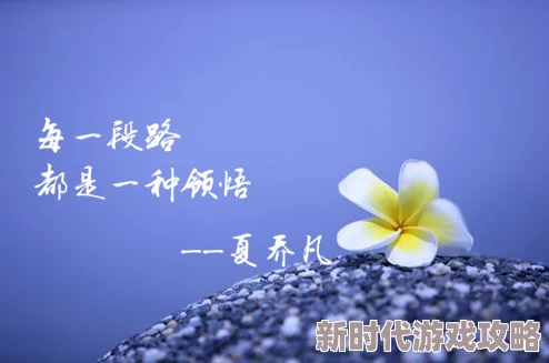 dvdporin161718生活充满希望每一天都是新的开始勇敢追梦让阳光照亮前行的路