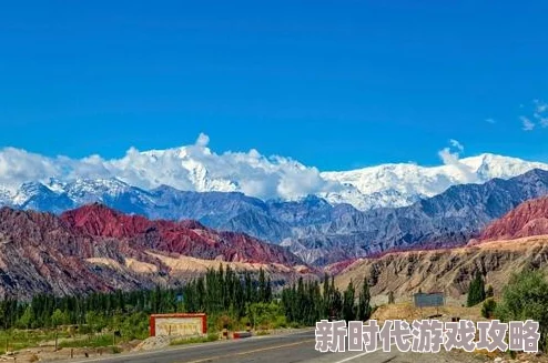 韩国5号房韩国5号房最新消息：该房间近期被改造成了一个艺术展览空间，吸引了众多游客前来参观