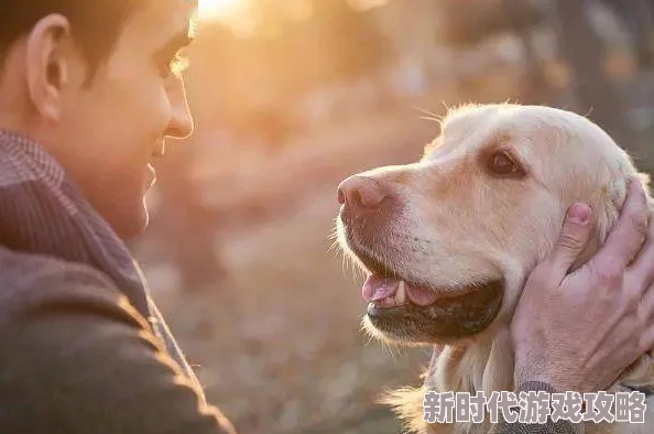 色狗综合网最新研究显示宠物对人类心理健康的积极影响