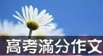 看黄神器让我们在繁忙生活中找到快乐与放松，积极面对每一天
