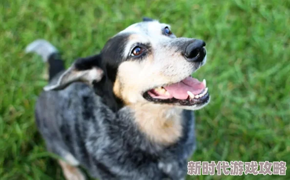 被几个男人一起舔下面的细节每个人都值得被尊重和爱护，积极面对生活中的每一个挑战