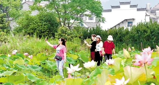 打屁沟近日打屁沟迎来了春季花展，吸引了众多游客前来观赏美丽的花海