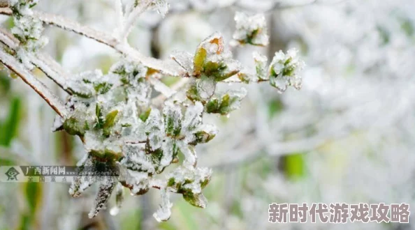 陪你到世界之巅小说故事情节引人入胜角色发展令人期待
