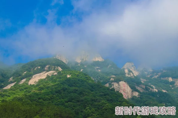 陪你到世界之巅小说故事情节引人入胜角色发展令人期待
