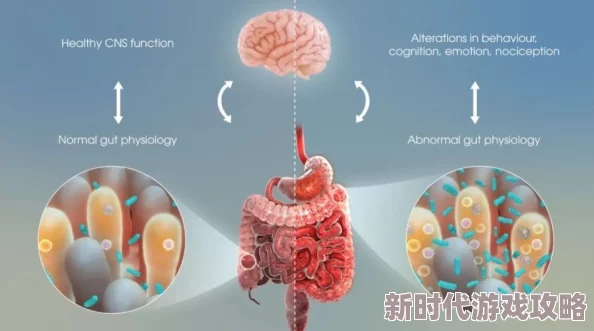 系统肉文最新研究显示肉类消费与健康风险之间存在显著关联