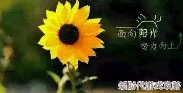 金主请上当相信自己每一个努力都会开花结果积极向上迎接美好未来