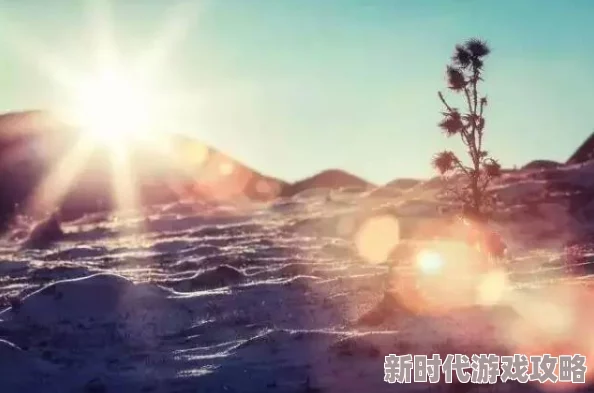长明月烬小说愿你在追梦的路上勇敢前行，心中有光，未来可期