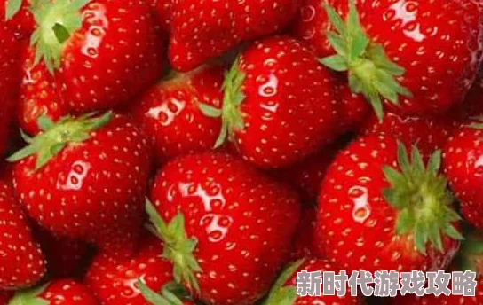 草莓视频1080p让我们一起享受生活中的美好时刻，传播快乐与正能量