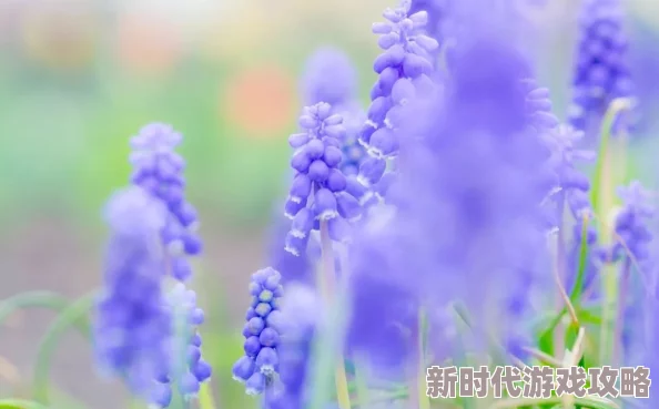 小可的奶水全文阅读欲让我们珍惜生活中的每一份美好与温暖
