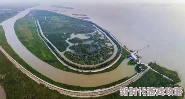 噜噜噜狠狠狠近日科学家发现了一种新型可再生能源技术，能够有效降低碳排放并提高能源利用效率