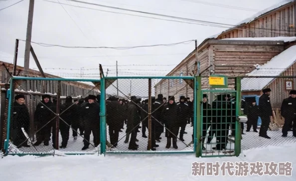 洛克王国手游眠枭庇护所位置全解析，猫头鹰小房子里的秘密基地获网友好评