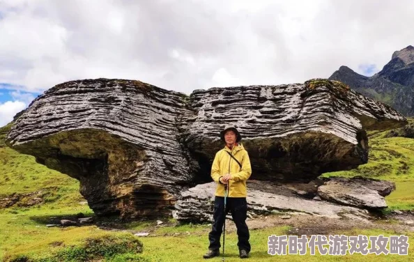 洛克王国手游石系精灵大盘点：网友热议的TOP排名与精选解析