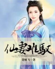 鼎炉仙妻最新章节更新，精彩剧情引发读者热议，快来一起讨论吧