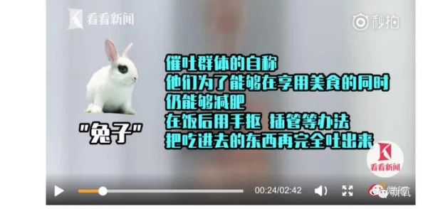 比特人生减肥攻略：高效方法揭秘，网友亲测分享与评价集锦