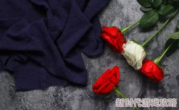 肉文小说一对一略解风情心怀善念传递温暖与爱
