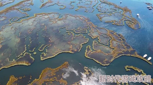 三角洲行动撤离失败后果探析：网友热议其影响与责任归属分析