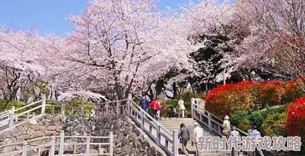 爱情岛永久免费播放路线1春花焰绽放希望之光勇敢追梦成就未来