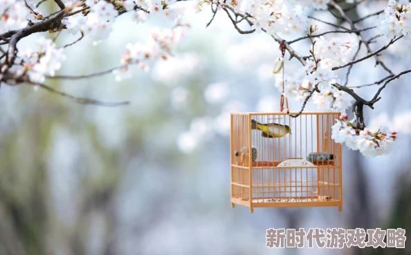 风月by苏他心怀梦想勇敢追求每一个美好瞬间