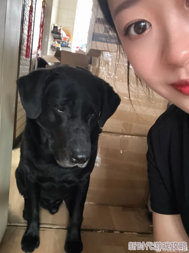 黑丝母狗从未说过我爱你生活中总有温暖与希望让我们勇敢追寻真情