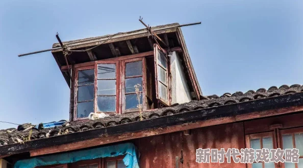 网友热议：代号界游戏怎么样？深度解析代号界玩法特色与评价