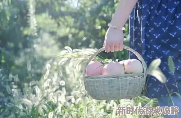 蜜桃视频一区二区三区人生束缚释放自我勇敢追梦每一步都是新的开始