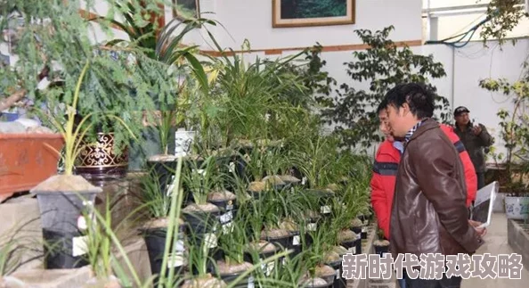 苏桃苏桃在春季花展中展现独特魅力吸引众多游客前来观赏