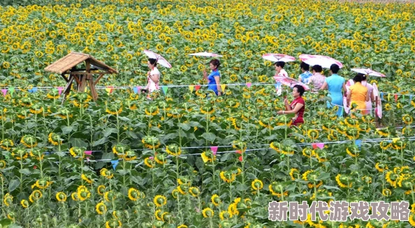 苏桃苏桃在春季花展中展现独特魅力吸引众多游客前来观赏