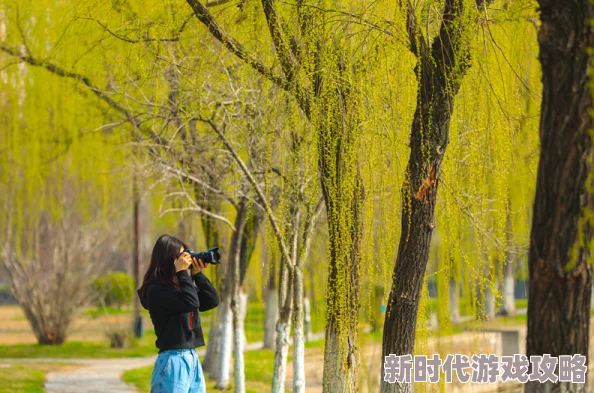 春意影院普通入口让我们在光影中感受生活的美好与希望一起追逐梦想