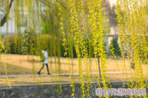春意影院普通入口让我们在光影中感受生活的美好与希望一起追逐梦想