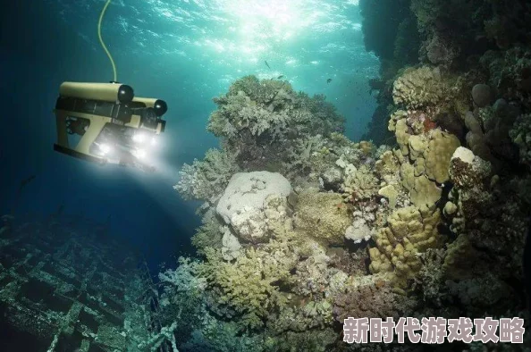 好深好硬近日科学家发现深海生物的新特性揭示了海洋生态系统的复杂性
