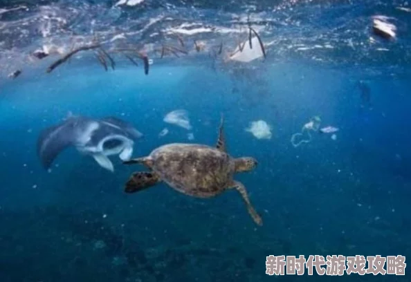 好深好硬近日科学家发现深海生物的新特性揭示了海洋生态系统的复杂性