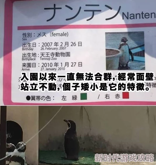 快点怼使劲舒服美男堂追求自我提升,绽放内外兼修的魅力与自信 快点怼使劲舒服美男堂追求自我提升,绽放内外兼修的魅力与自信